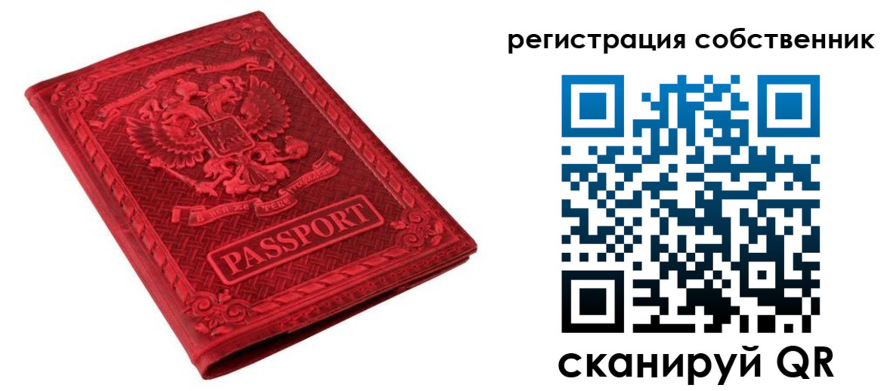 регистрация для школы в Зеленогорске