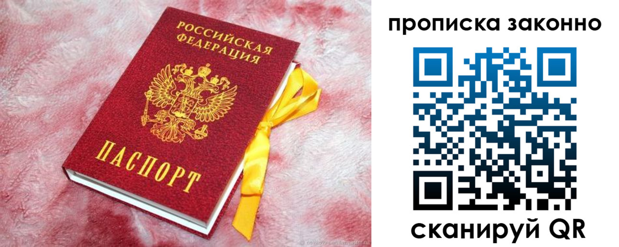прописка 2025 в Зеленогорске